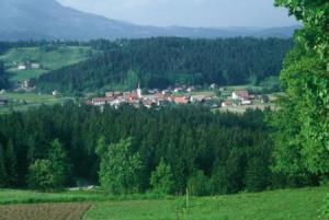 Pogled na Šmartno ob Dreti s cerkvijo sv. Martina, po kateri je kraj dobil ime